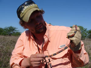 justin/CoralSnake.jpg